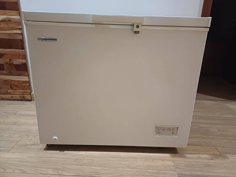 Freezer ( large) 1