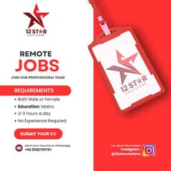 REMOTE JOB