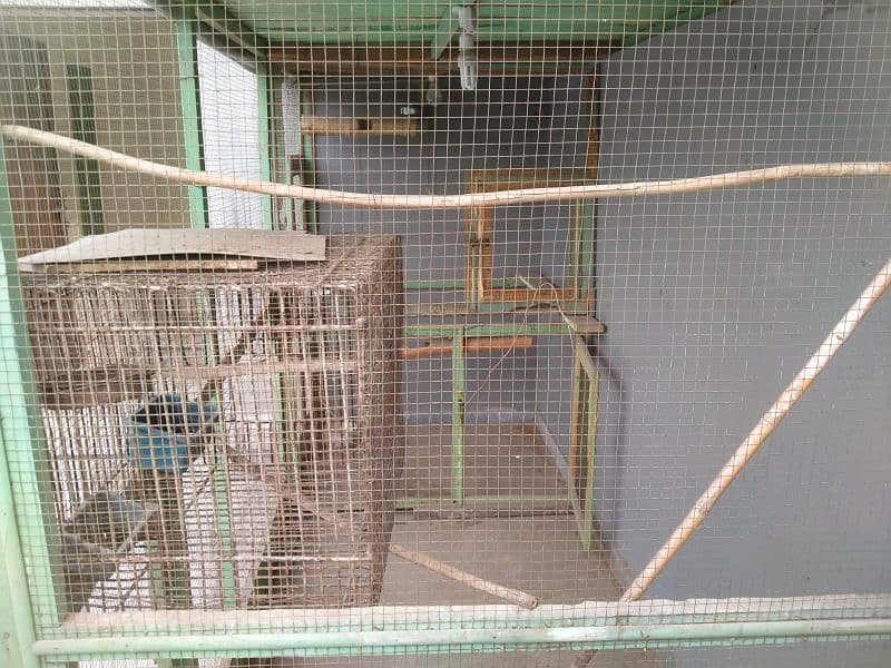 Birds Cage ( parindo ka pinjra) 3