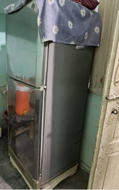 pel fridge for sell