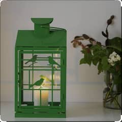 ikea lantern Green