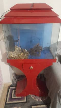 Aquarium Complete for Sale