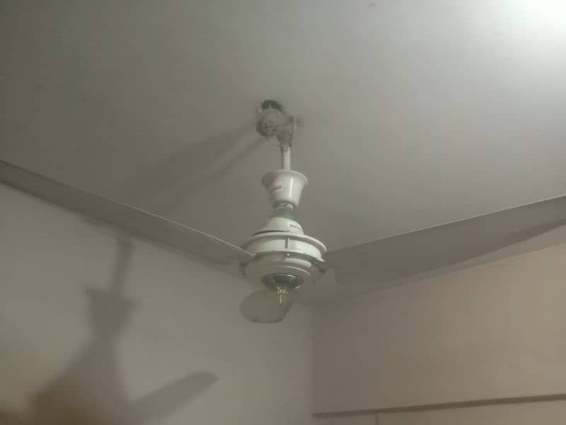 celling fans 0