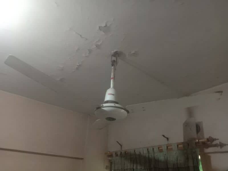 celling fans 1