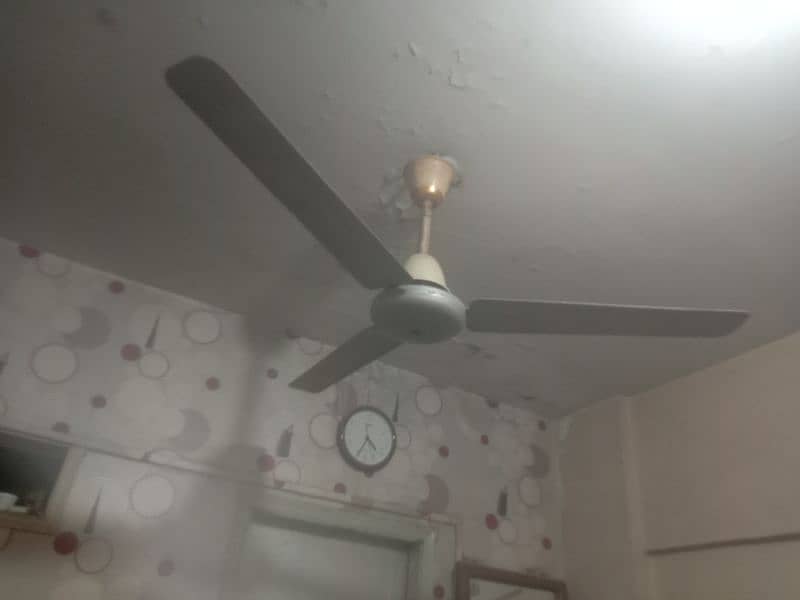 celling fans 2