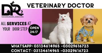 Veterinary