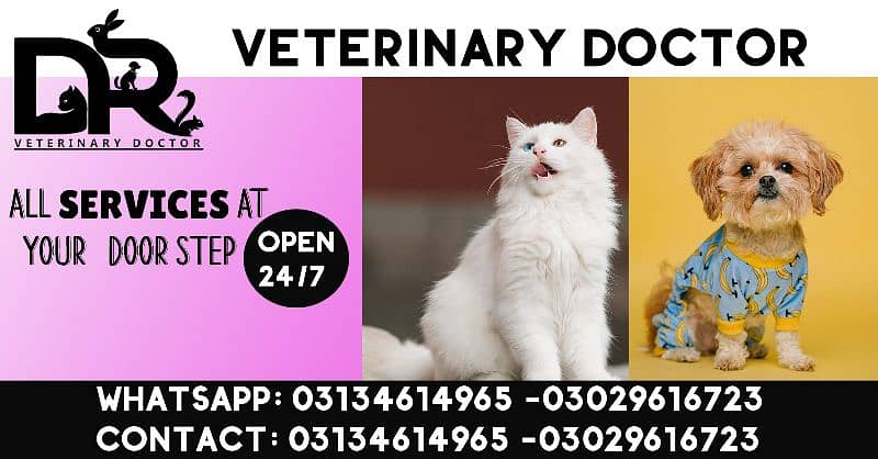 Veterinary Doctor (Pet Care) 0