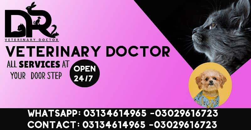 Veterinary Doctor (Pet Care) 1