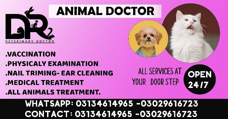 Veterinary Doctor (Pet Care) 2