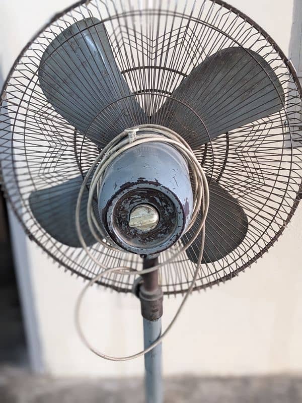 Pedestal Fan For Sale 3