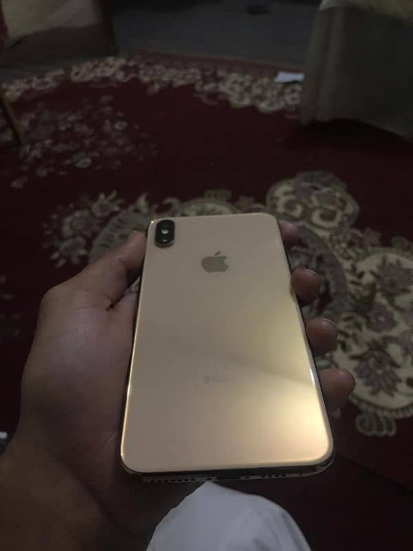 Xs max 256 gb 1