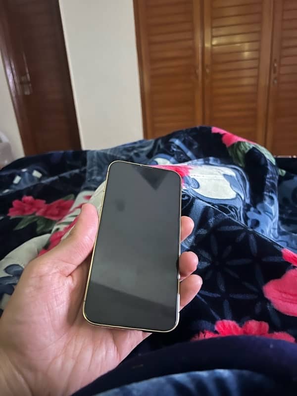 iPhone 13 pro Factory Unlocked Non-PTA Gold 1