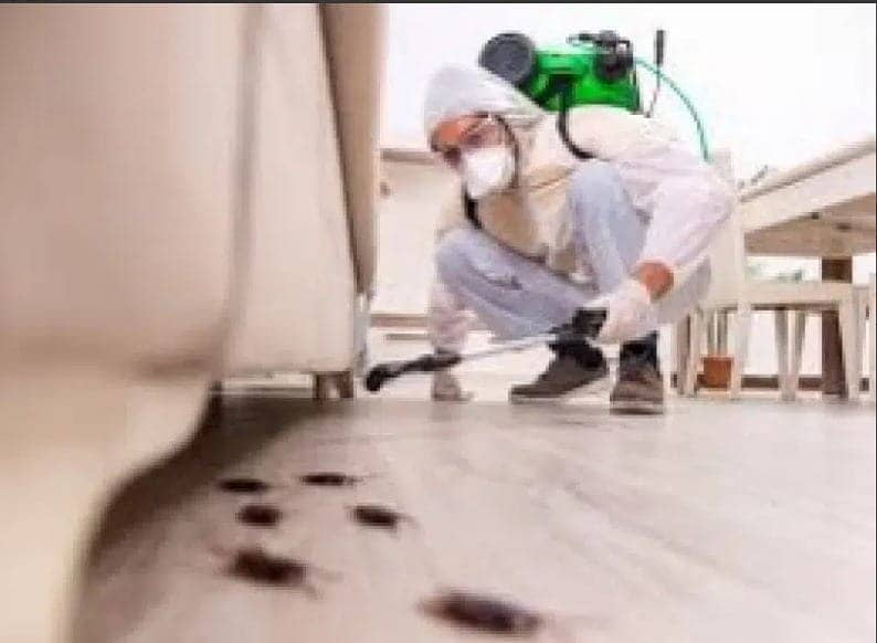 Under Ground Water Tank Cleaning/Sofa Carpet Cleaning Termite Proofing 4