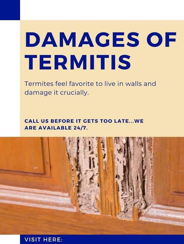 Termite Control/Water Proofing/Water Tank Cleaning 10