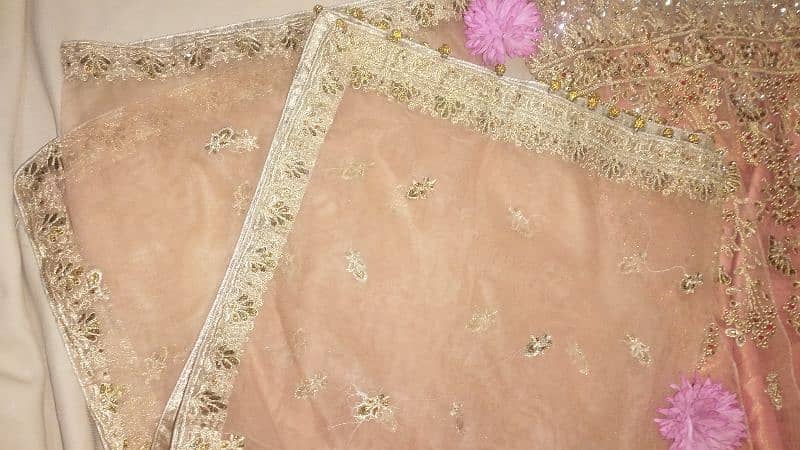 The Allure of Peach:  Beautiful Peach Colour Lehenga Dress 11