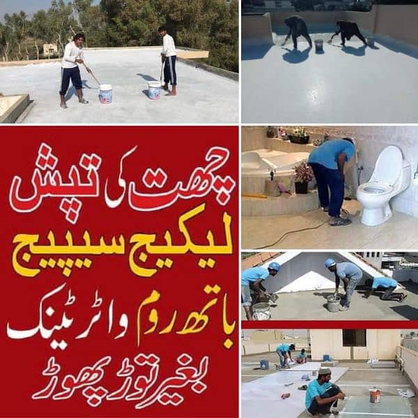 Water Proofing/Roof Heat Proofing/Termite Proofing Service 12