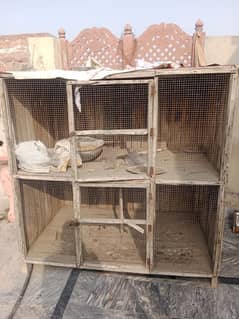 cage for sale aik