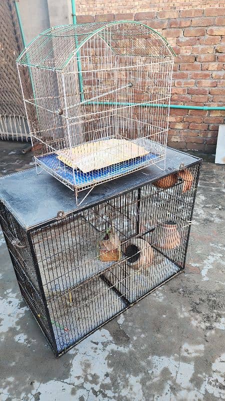 Cage for Birds 0