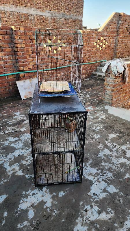 Cage for Birds 1