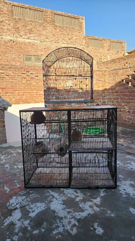 Cage for Birds 2