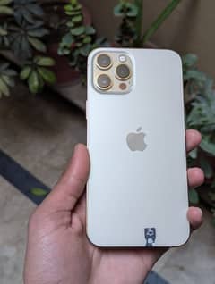 iphone 12 pro max GOLD COLOR