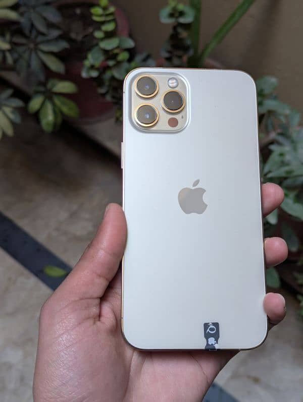 iphone 12 pro max GOLD COLOR 0