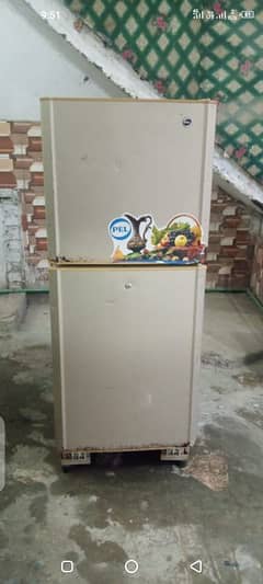 pel refrigerator