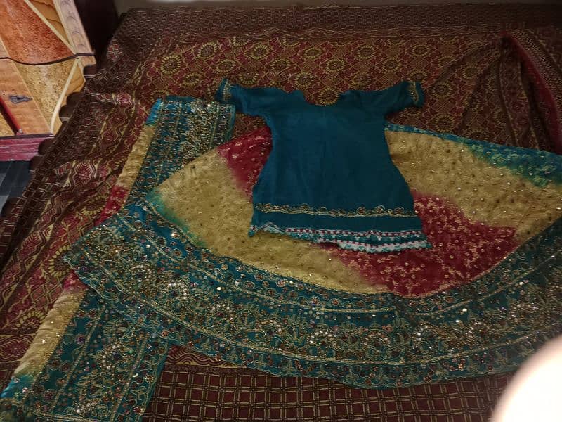 rajhistani lehnga choli 4