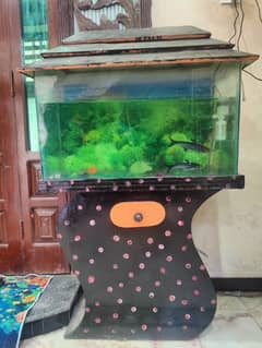 Aquarium