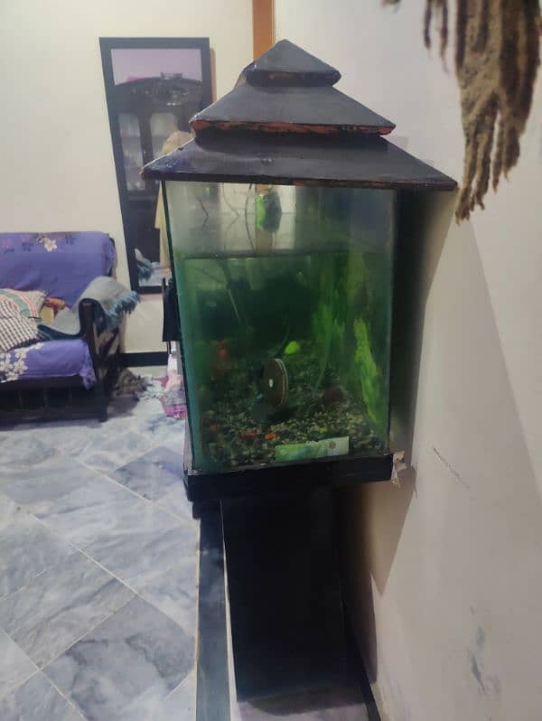 Aquarium (Fish Tank) looking New House 2