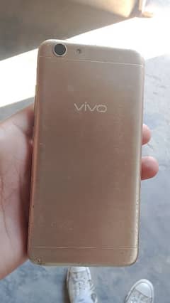 vivo