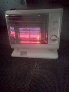 Rinnai gas heater