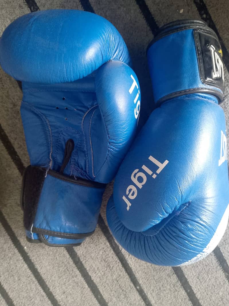 Boxing bag, Gloves, resistance band, speed ball, skipping roop: Sale 3