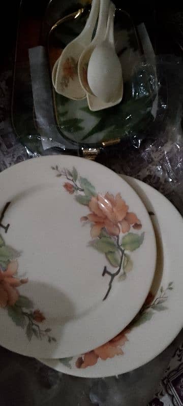 dinner set pati with all Saman for sale 10