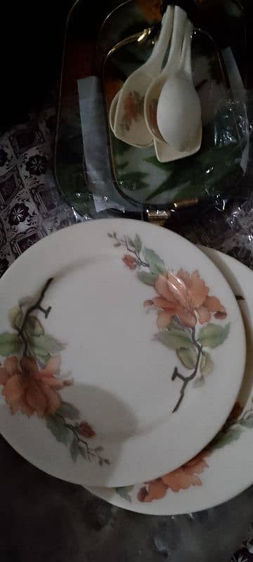 dinner set pati with all Saman for sale 11