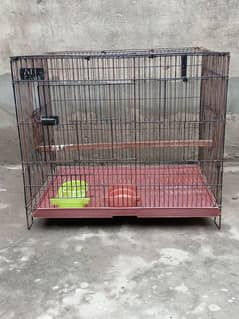 cage , love birds, parrot, albino, pale fellow,par Blue  0327-0277654