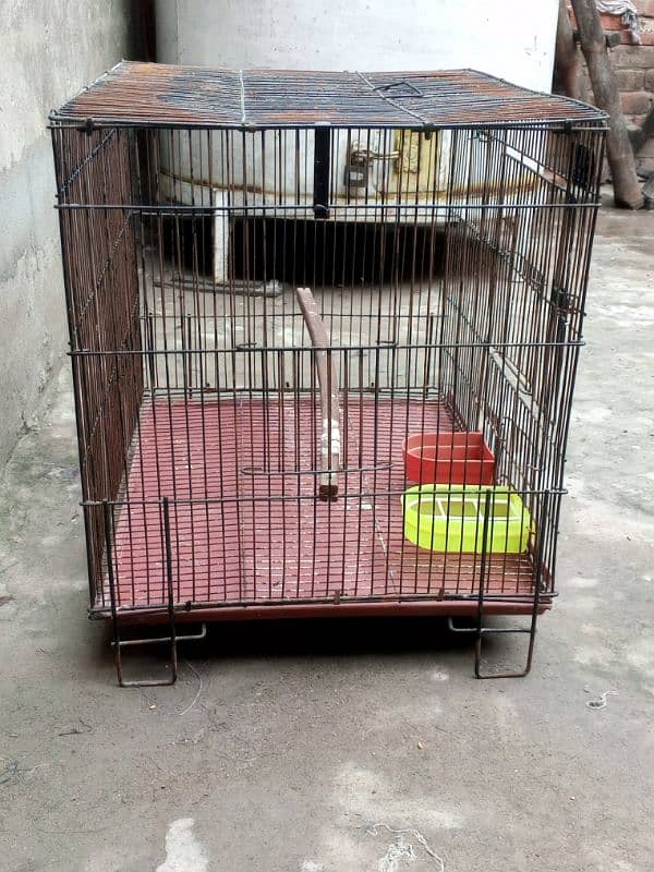 cage , love birds, parrot, albino, pale fellow,par Blue  0327-0277654 1