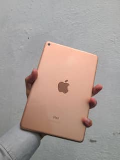 ipad mini 5