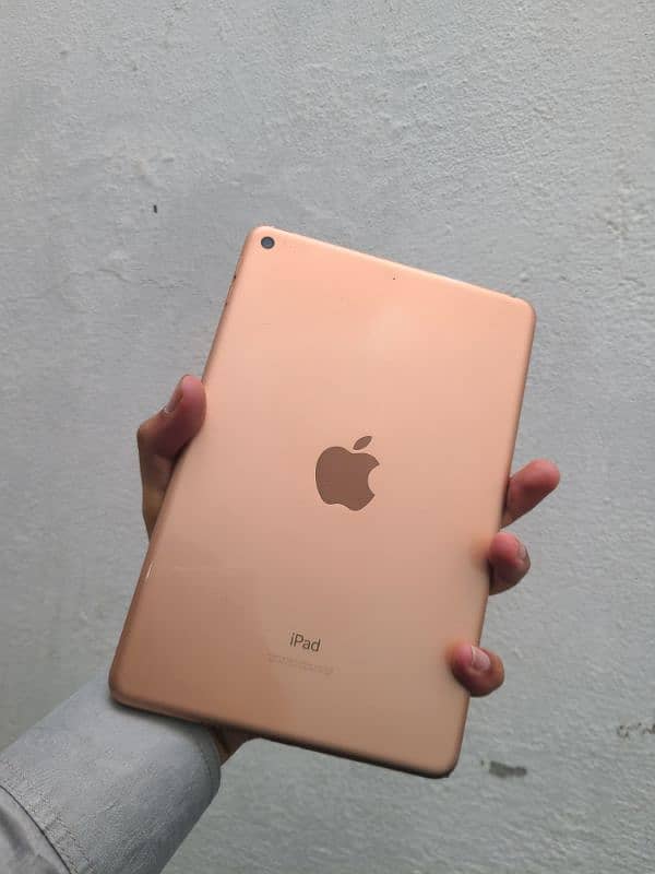 ipad mini 5 0