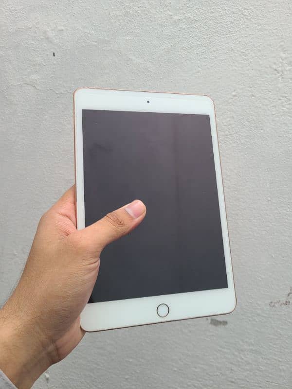 ipad mini 5 1