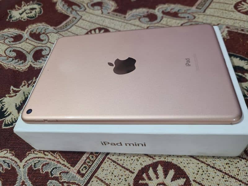 ipad mini 5 7