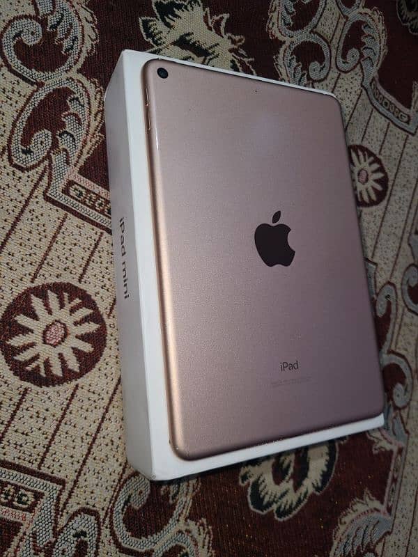 ipad mini 5 9