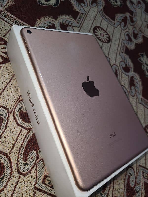 ipad mini 5 10