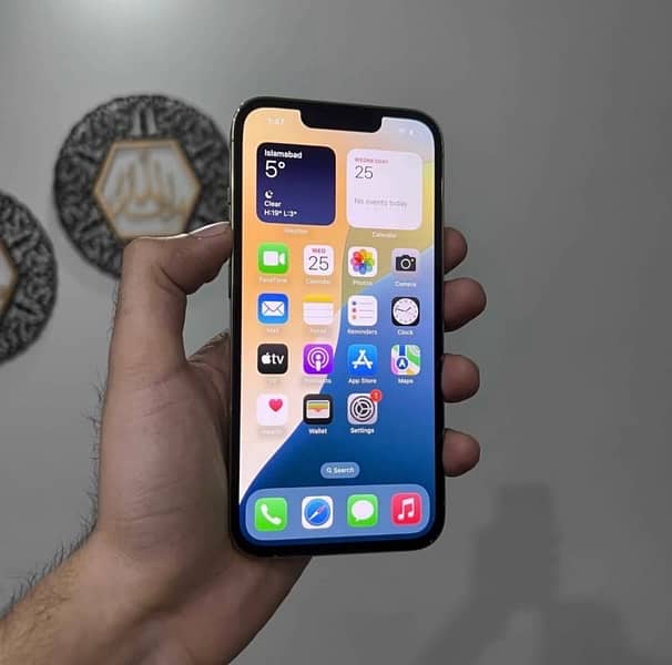 Iphone 13 Pro PTA Approved 1