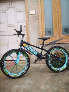 IMPORTED MQXIANG FAT TIRES BIKE.