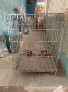 Single Cage best for budiges