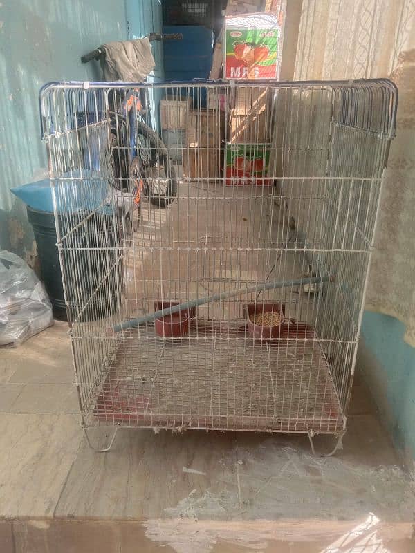 Single Cage best for budiges 0