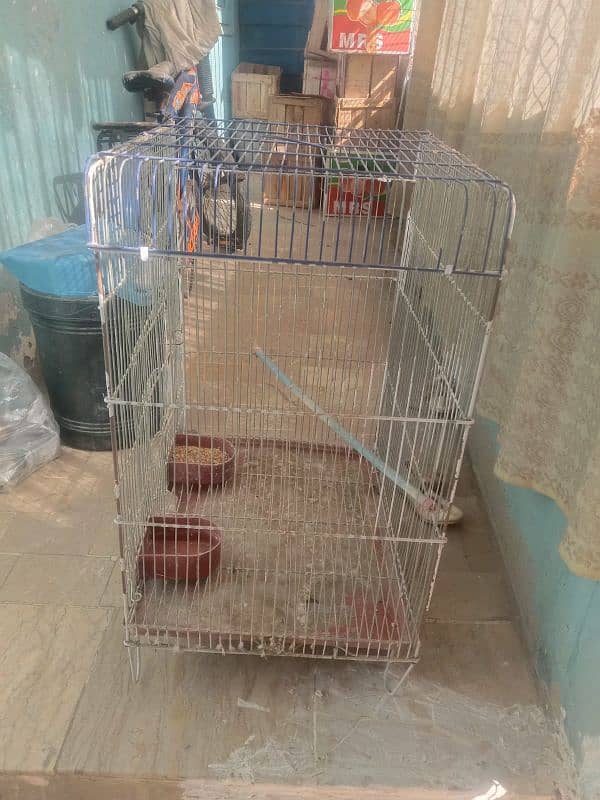 Single Cage best for budiges 2