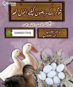 duck's fresh eggs