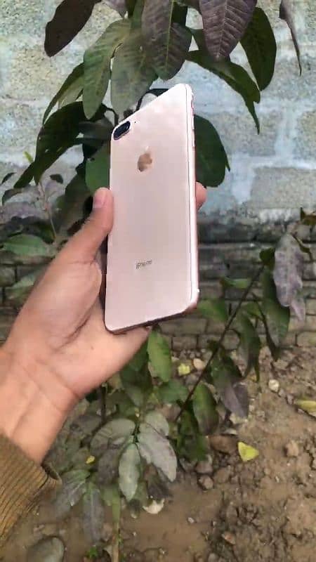 iphone 8 Plus for sale (03120479081) 6